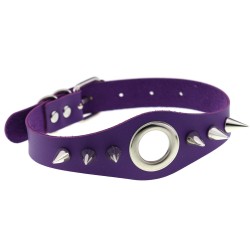 metal ring spikes collar