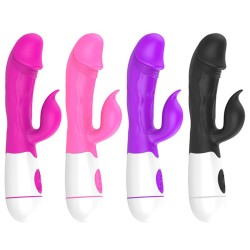 desire-of-angle-rabbit-vibrator.jpg